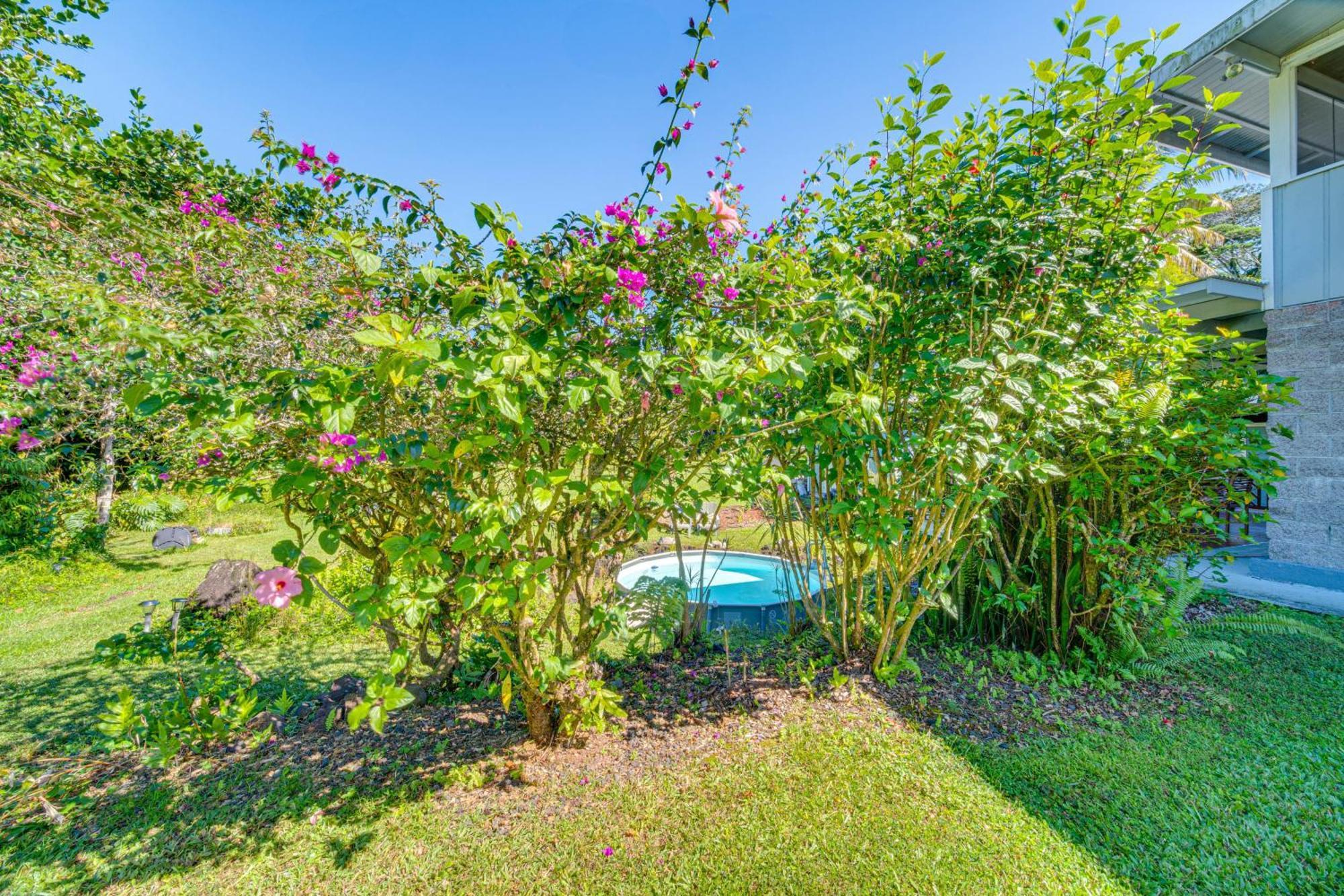 Keaau Apartment On Beautiful Acre With Pool And Deck! エクステリア 写真